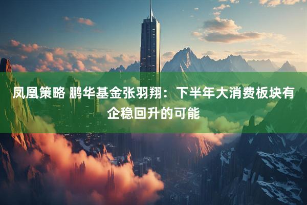凤凰策略 鹏华基金张羽翔：下半年大消费板块有企稳回升的可能