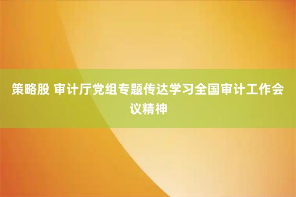 策略股 审计厅党组专题传达学习全国审计工作会议精神